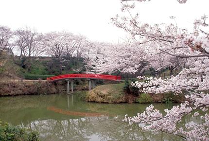 水間公園の写真