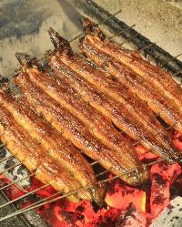 うな壱のうなぎ