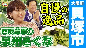 きくなの紹介動画のサムネイル画像です。「大阪府貝塚市自慢の逸品 西阪農園の泉州きくな」の文字が記載されています。