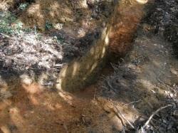 千石堀城跡遺構第1区の写真