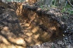 千石堀城跡遺構第2区の写真