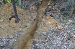 千石堀城遺構第3区の写真