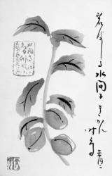 俳句を書いた絵葉書の写真