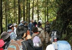 ハイキングの様子