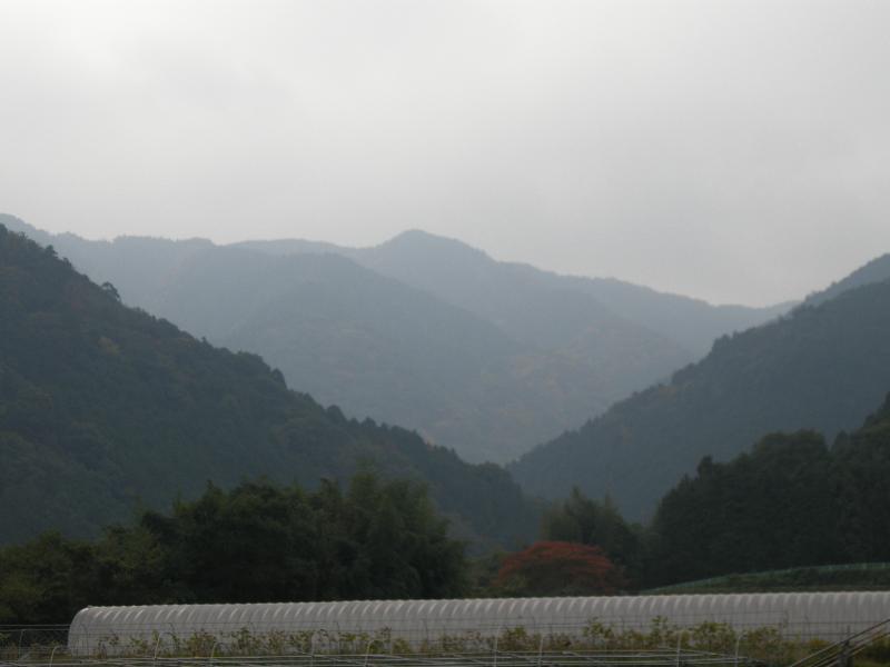 和泉葛城山の山なみ(岸和田市塔原より)の写真