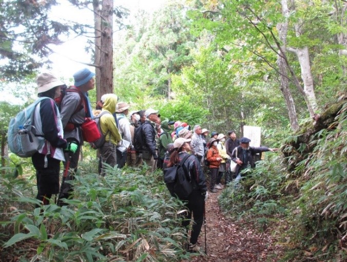 葛城山頂付近