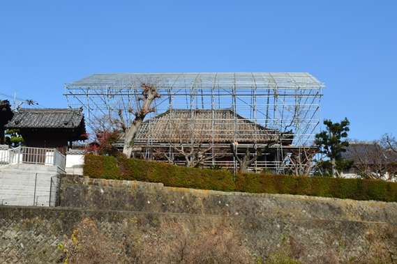 足場を設置中の孝恩寺観音堂(正面)の写真