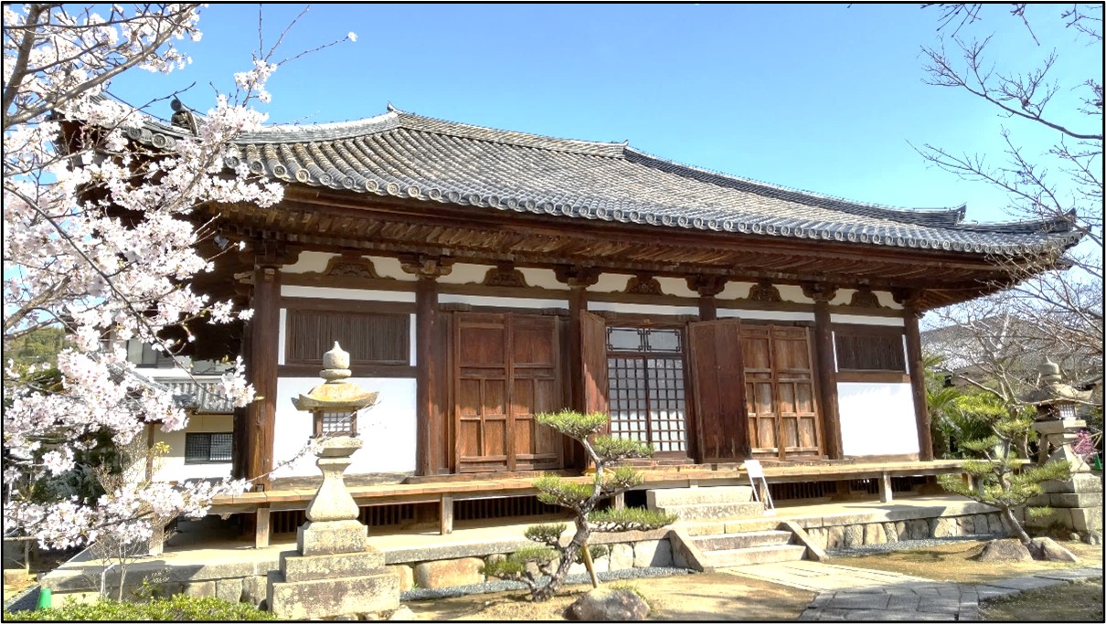 春の孝恩寺観音堂