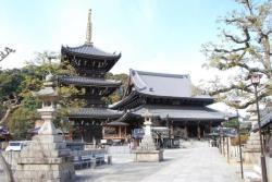 水間寺(三重塔、本堂)の写真