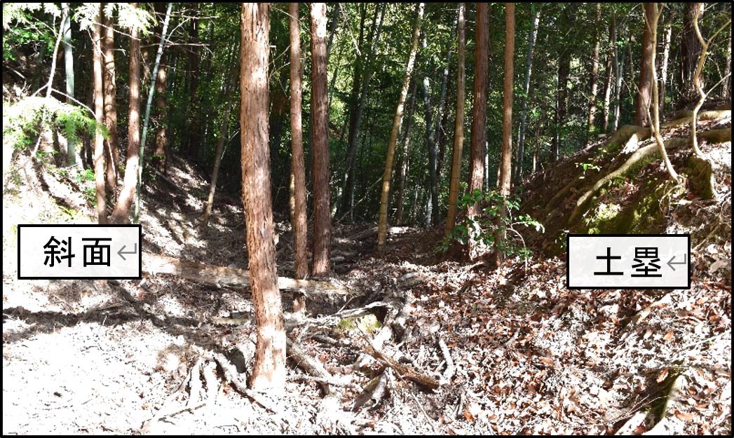 東峰の南斜面の横堀(西から東を望む)