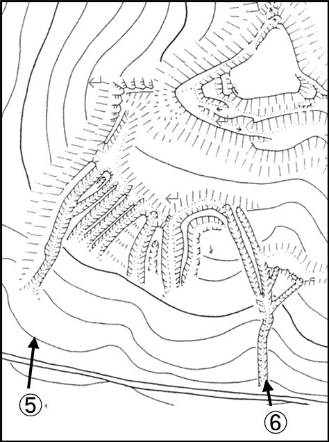 縄張り図拡大
