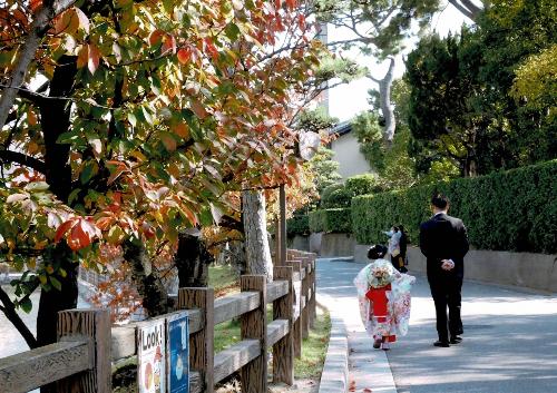 令和5年度かいづか家族の日の写真部門優秀賞作品です 七五三でお参りした後、岸和田城の周りを歩くスーツ姿の父と着物を着た娘の後ろ姿を撮った写真です