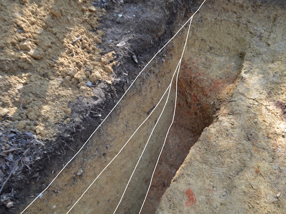 千石堀城跡の堀の地層断面の様子の写真