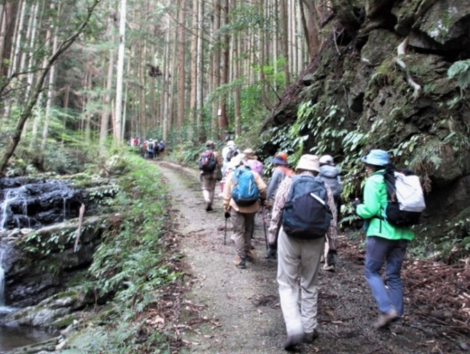 ハイキング-登山道
