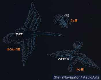 こと座とわし座とはくちょう座