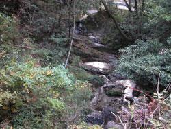 岩屋谷橋(上流側:標高135メートル)。貝塚市秬谷。近木川支流の秬谷川の上流です。