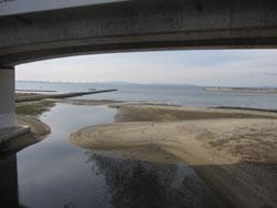 この画像は、2010年2月17日に撮影した近木川河口の干潮の景観です。脇浜潮騒橋から海側に向かって撮影しています。