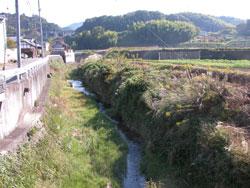 上出橋 (上流側:標高80メートル)。貝塚市馬場。この画面の右側は左岸で、農耕地が広がっています。