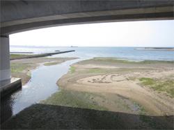 この画像は、2010年5月17日に撮影した近木川河口の干潮の景観です。脇浜潮騒橋から海側に向かって撮影しています。
