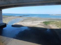 この画像は、2017年5月27日に撮影した近木川河口の干潮の景観です。脇浜潮騒橋から海側に向かって撮影しています。