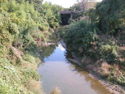 近義大橋 (上流側:標高15メートル)。貝塚市石才と堤の境。ふだんは流れが緩やかです。