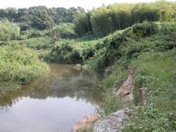 水間大橋付近 (標高60メートル)。貝塚市水間。中流の緩やかな流れの淵が続きます。