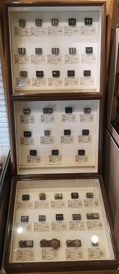 貝塚市の陸にすむ巻貝であるカタツムリの標本を展示しています。