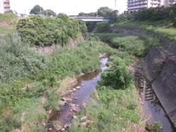 清児橋 (上流側:標高25メートル)。清児橋 (上流側:標高25メートル)。貝塚市清児。下流側を撮影しました。左右の岸ともコンクリート護岸になっています。この画像の奥に写っている橋は平成大橋です。