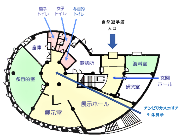 館内の展示場所や多目的トイレを含むトイレや事務室の場所を示しています