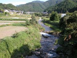 この画像は、蕎原大橋から上流側を撮影したものです。中央に近木川が流れ、両岸は主に水田で、この画像の奥は、和泉葛城山の山麓です。