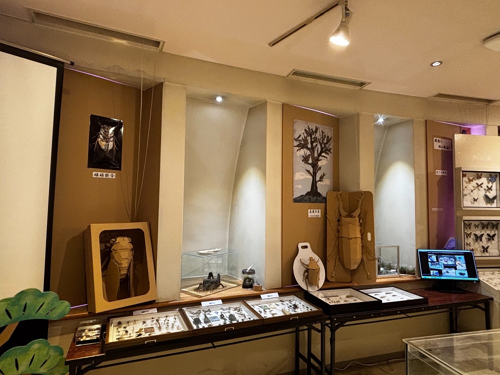 昆虫標本などを展示する展示室のようす