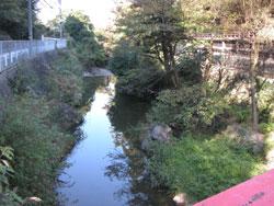 通天橋(下流側:標高73メートル)。通天橋(下流側:標高73メートル)。貝塚市水間。この画面の右側には水間寺があります。この画像の奥には、近木川本流との合流点があります。