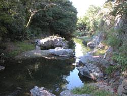 厄除橋(下流側:標高73メートル)。貝塚市水間。川底は花崗岩の岩盤です。