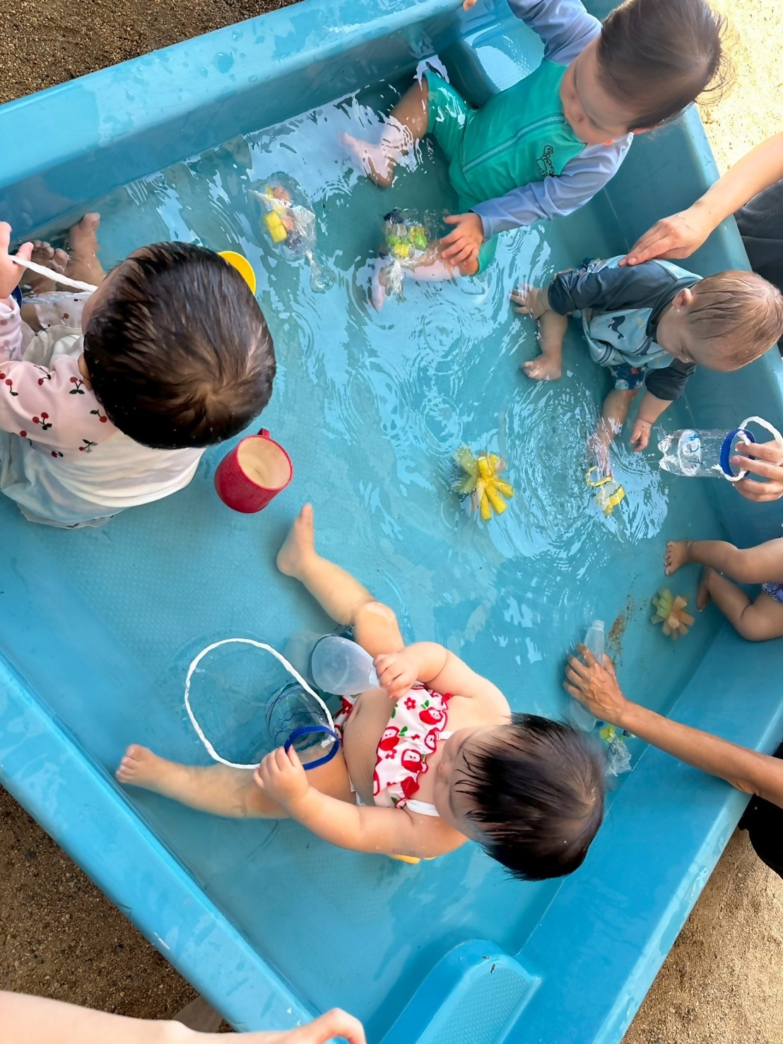 大きく浅いプールに4人の赤ちゃんがおもちゃを使って水遊びをしている