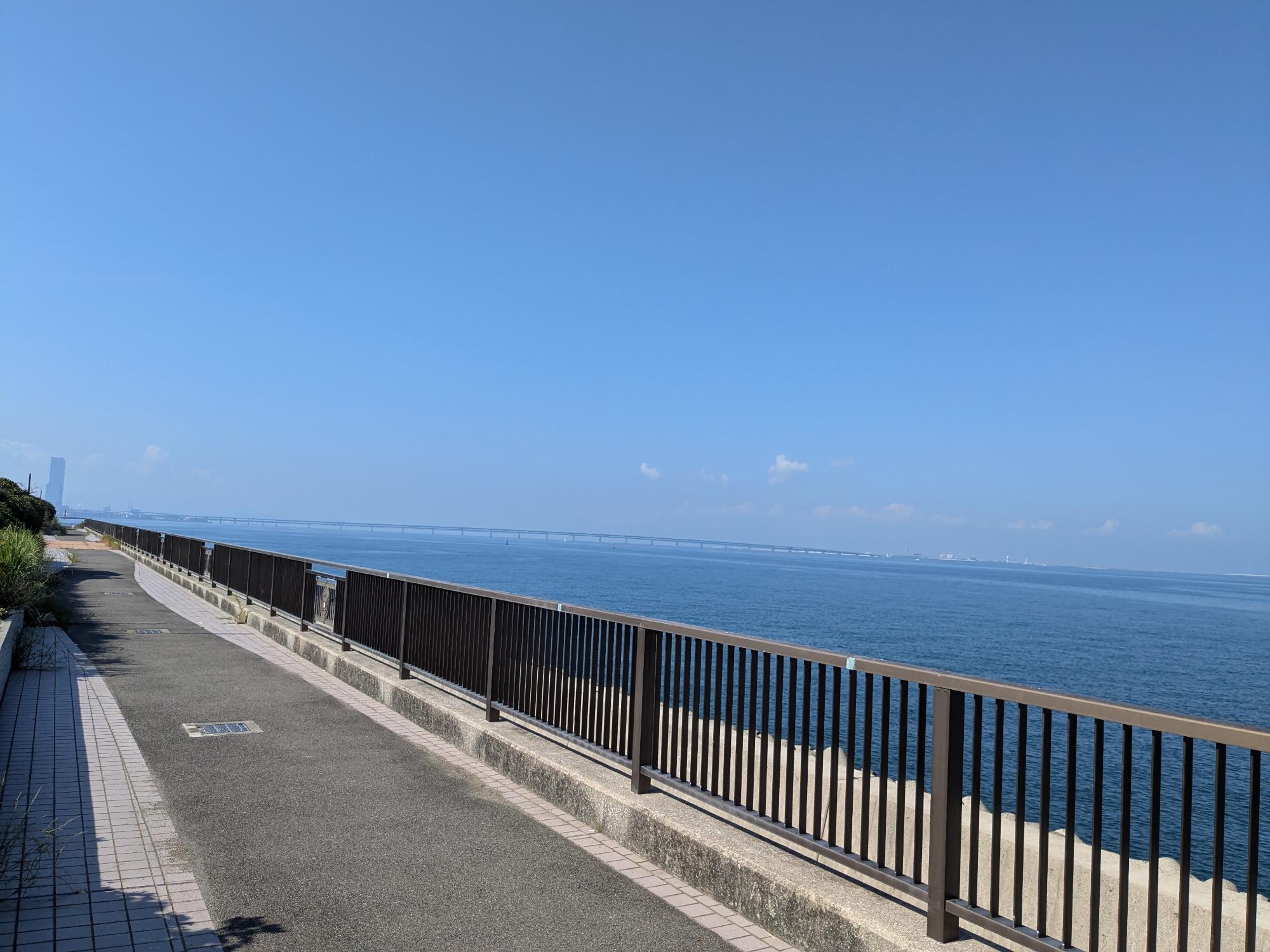 二色南緑地緑道から関空連絡橋を望む景色(青空のもと撮影)