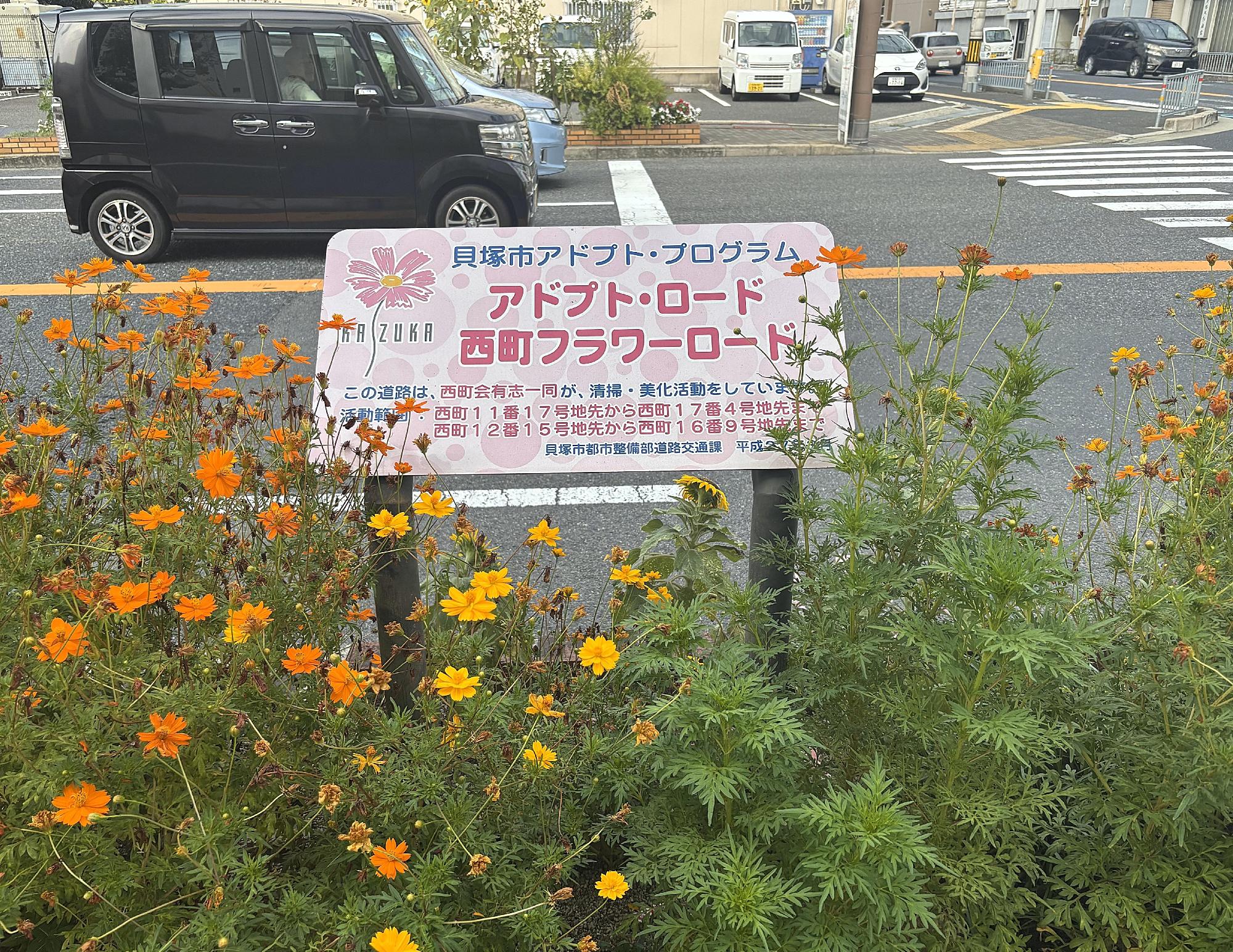adopt_nishi 01