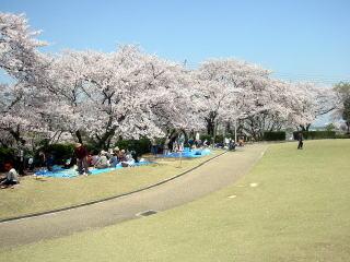 芝生広場