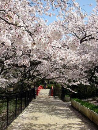 愛染橋(あいぜんばし)
