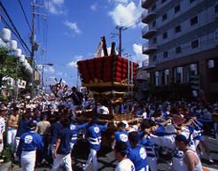 貝塚太鼓台祭り