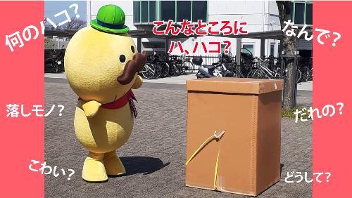 令和4年のつげさんの誕生日動画です