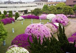 津田浄水場