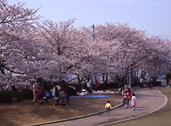 水間公園