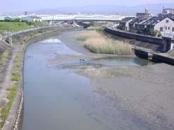 近木川河口