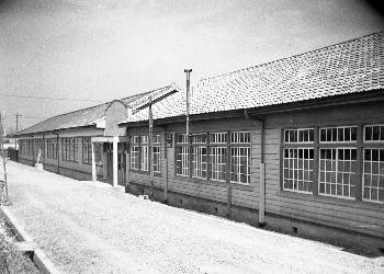 S29津田小学校
