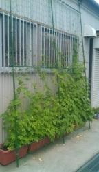 事業所B