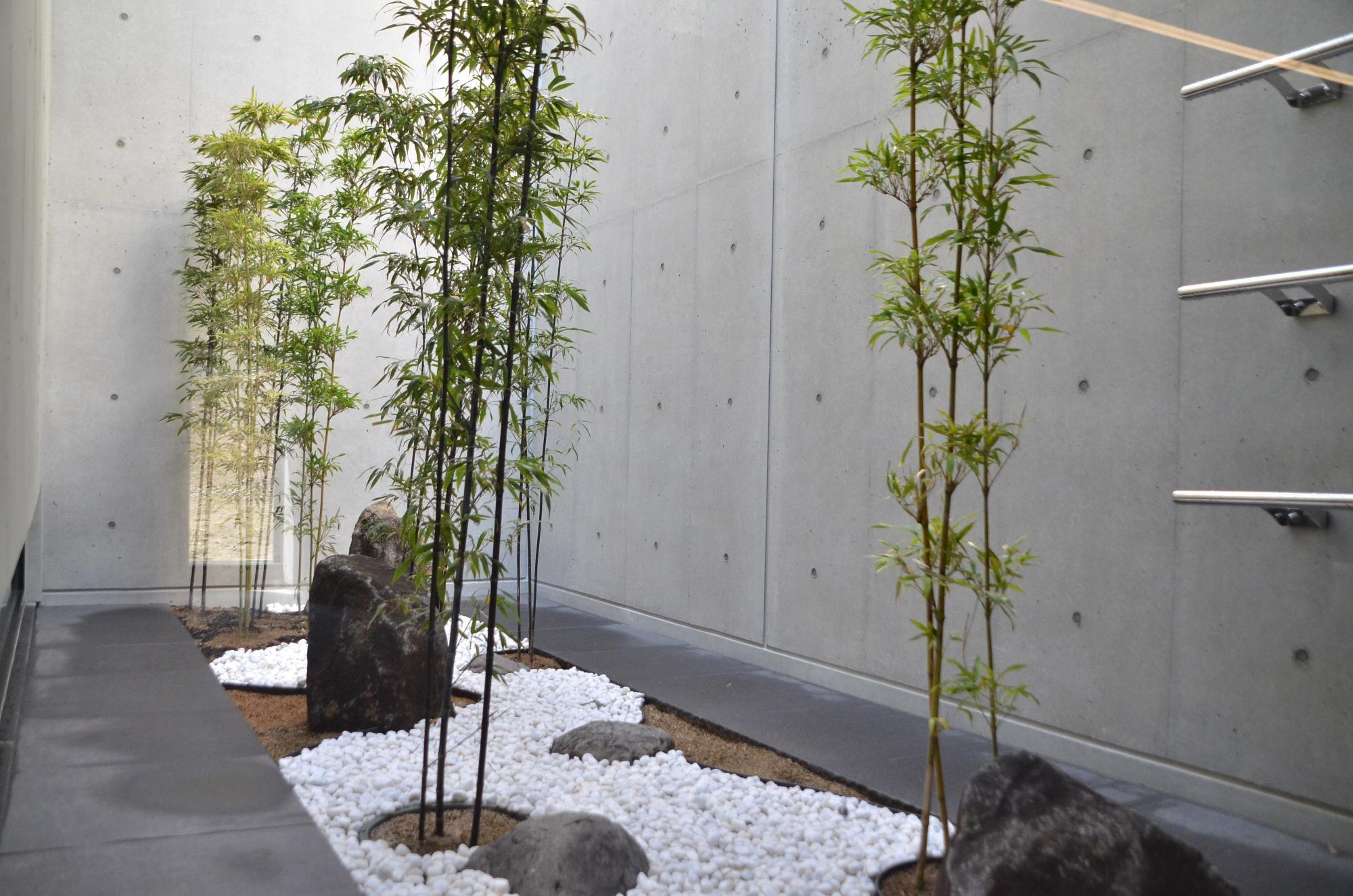 柔らかな光が差し込む光庭となっております