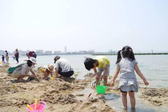 子どもたちが潮干狩りを楽しんでいる様子