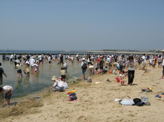 潮干狩り客で賑わう二色の浜の様子