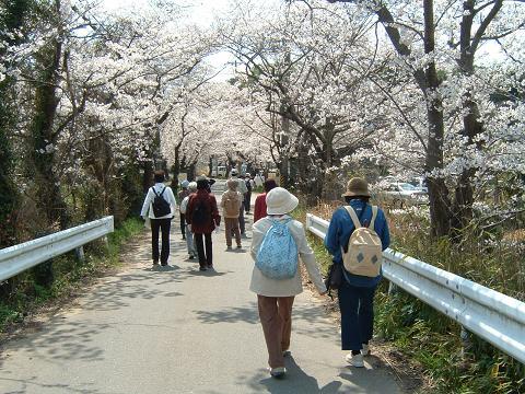 ガイド風景