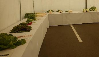 農業祭品評会会場に出品された地元野菜